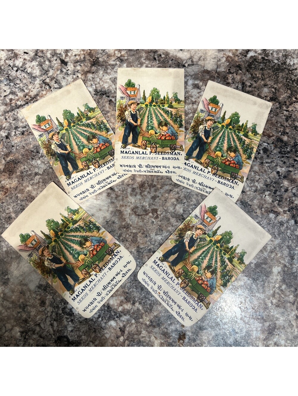 Rare VINTAGE Maganlal P Seedsman Seed Merchant - Baroda India Set Of 5